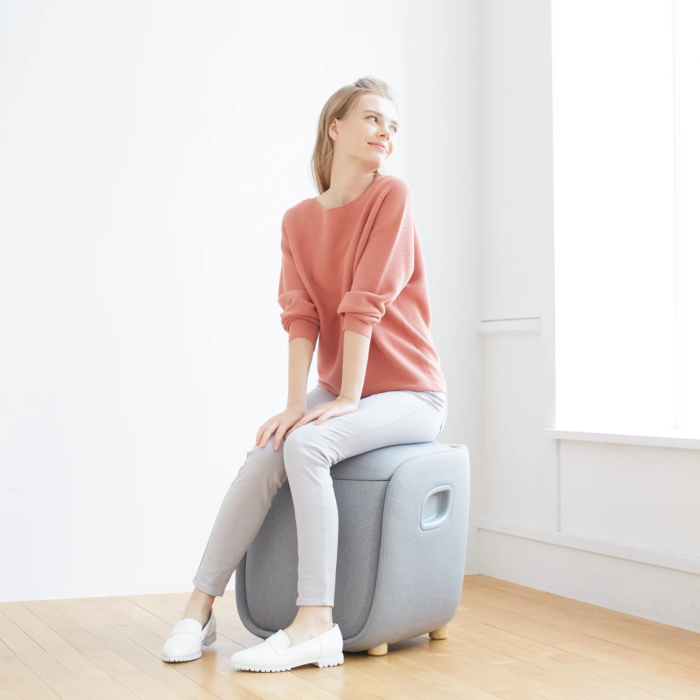 Rei - Foot - Calf - Lumbar Ottoman Massager - Image 7