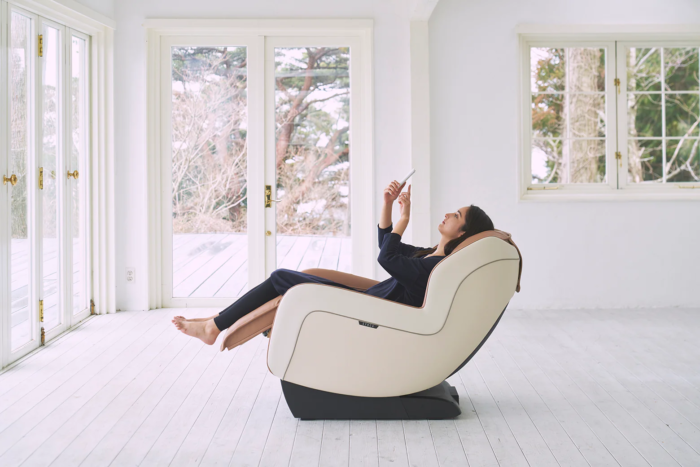 Circ plus Massage Chair - Image 5