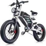 RZOGUWEX Electric Bicycle,20 Inch Off-Road EBIKE for Adults with 48V 25AH Detachable Lithium Ion Battery, 7 Speed Snow Bike with Dual Shock Absorbers and Brush-less Motor